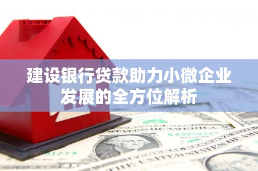 杂多建设银行贷款助力小微企业发展的全方位解析