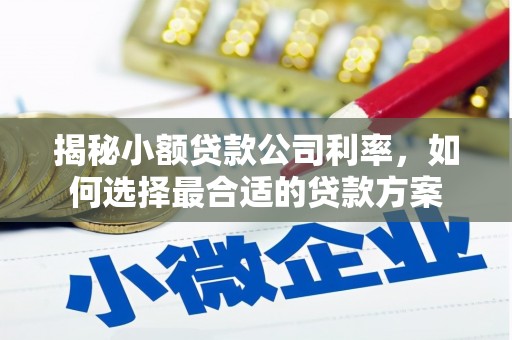 闽侯揭秘小额贷款公司利率，如何选择最合适的贷款方案