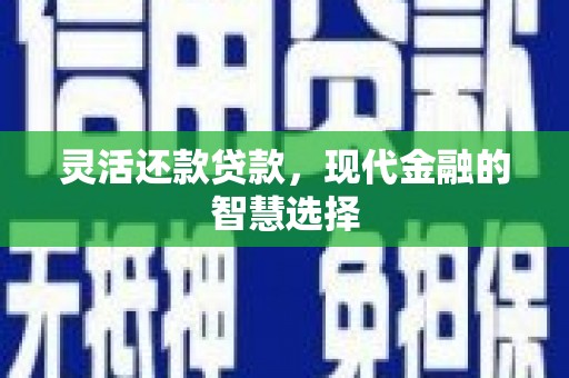 原州灵活还款贷款，现代金融的智慧选择