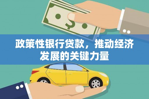 关山政策性银行贷款，推动经济发展的关键力量