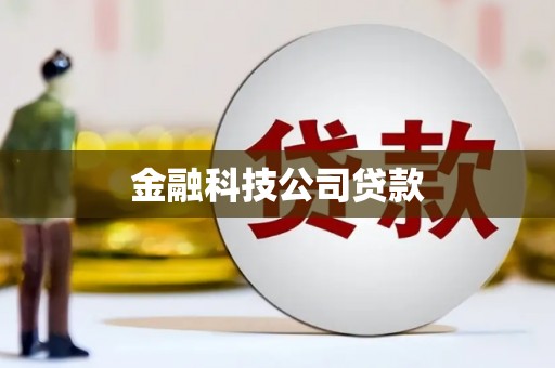 弋江金融科技公司贷款