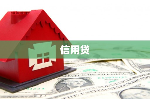 安龙信用贷