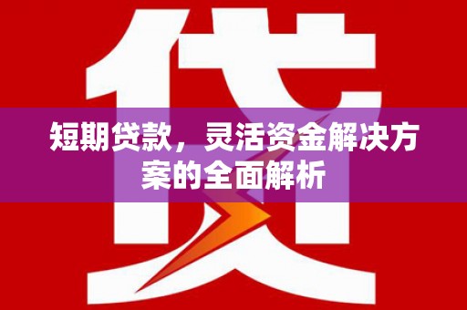 深泽短期贷款，灵活资金解决方案的全面解析