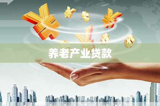 岑巩养老产业贷款