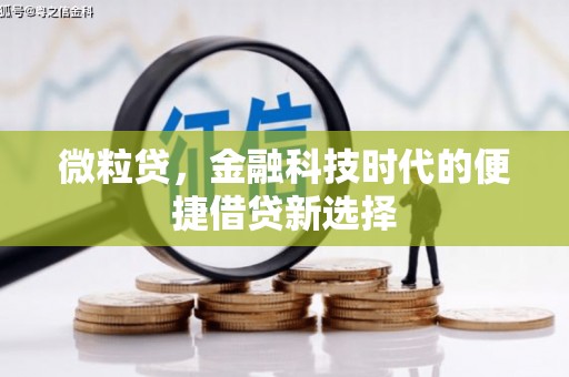 丰宁微粒贷，金融科技时代的便捷借贷新选择