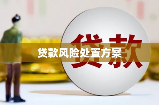 伊犁哈萨克贷款风险处置方案