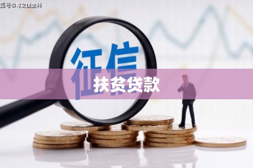 龙安扶贫贷款