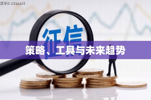 石城策略、工具与未来趋势