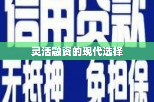 单县灵活融资的现代选择