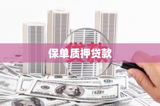 北区保单质押贷款