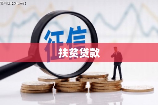 中西区扶贫贷款