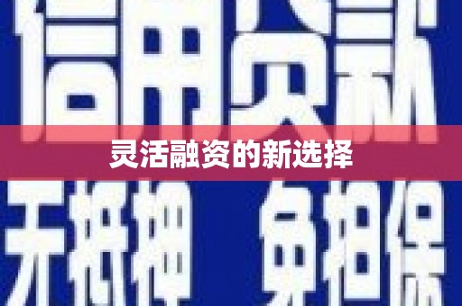 信州灵活融资的新选择
