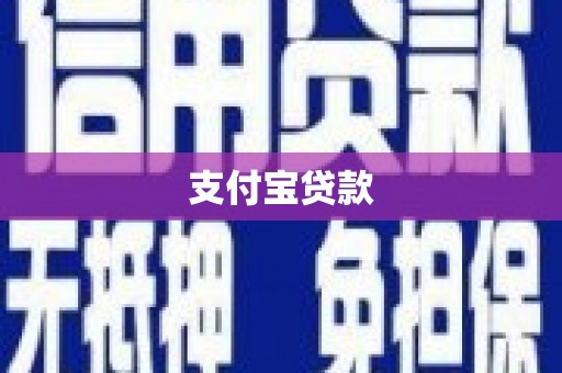 宝兴支付宝贷款