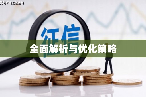 杂多全面解析与优化策略