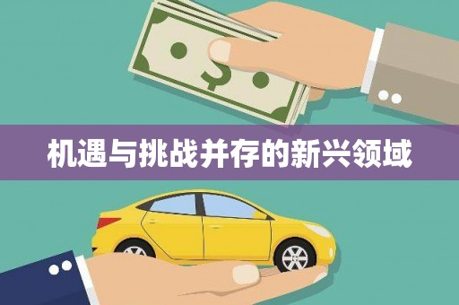 长城机遇与挑战并存的新兴领域