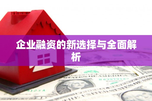 保亭企业融资的新选择与全面解析