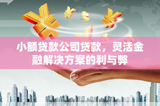 宜宾小额贷款公司贷款，灵活金融解决方案的利与弊